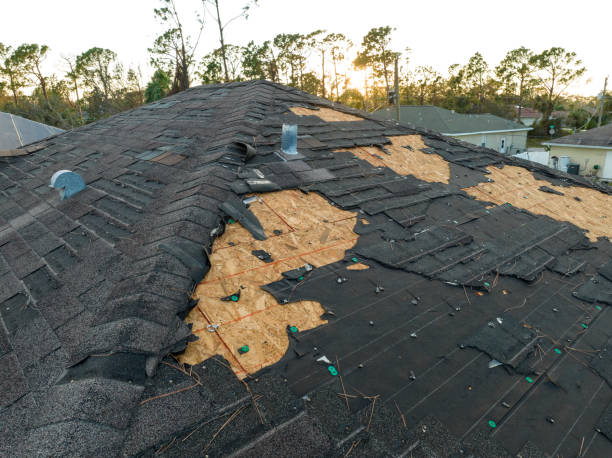 Best Skylight Installation and Repair  in Holyoke, MA